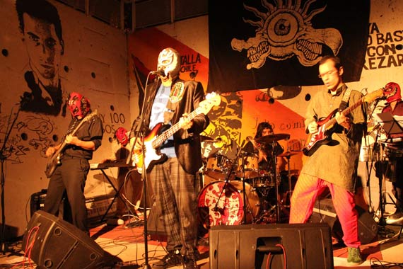 La Patogallina Saunmachin