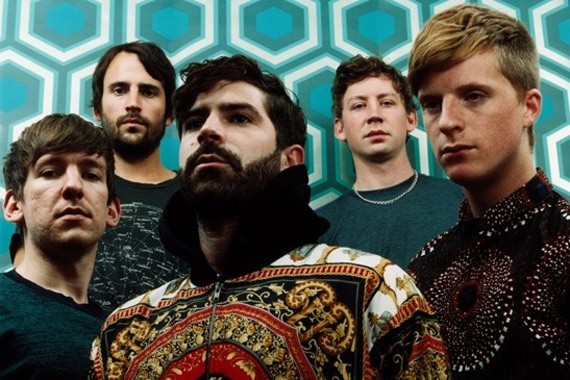 Foals