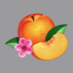 Phoenix - Bankrupt! (2013)